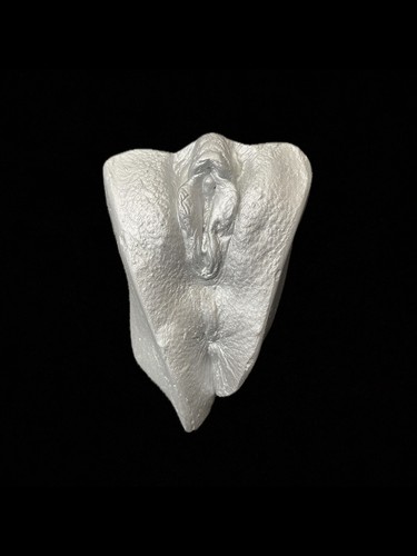 Vagina gipsabdruck original - vagina,