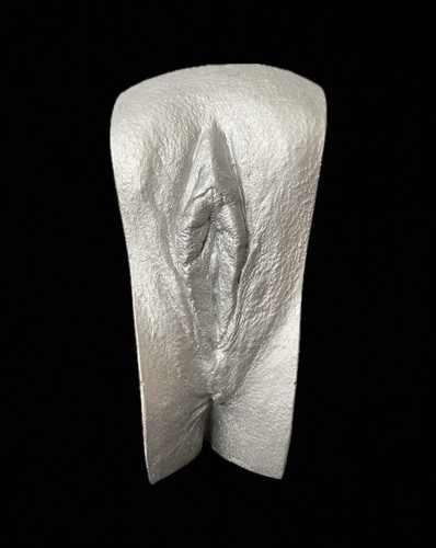 Vagina gipsabdruck original - vagina, 3d