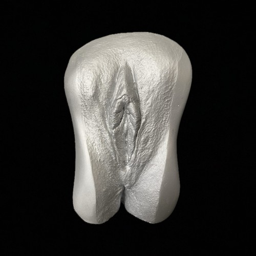 Vagina gipsabdruck original - gipsabdruck,
