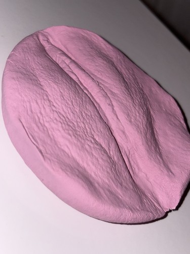 Vagina gipsabdruck original - vagina,