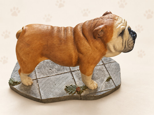 Bulldogge auf sockel - auf,