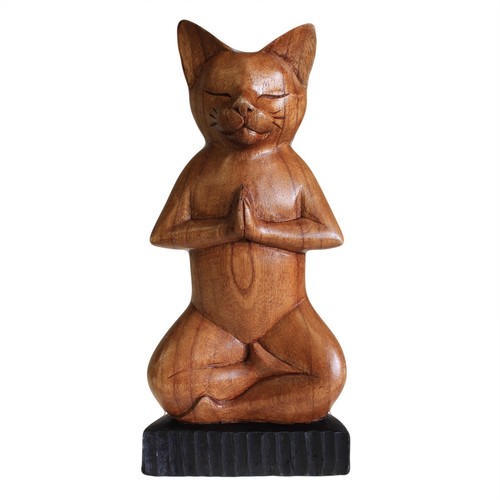 Yoga katze aus - yoga,