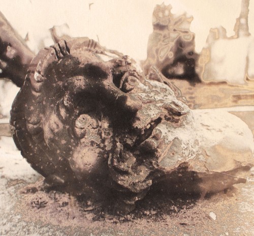 Andreas hoferick fragment - hoferick,
