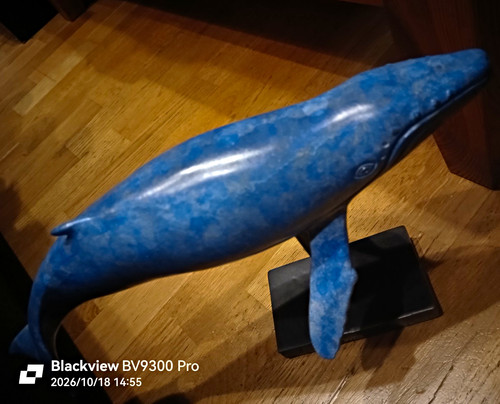 Bronze ruchos blauwal skulptur - blauwal,